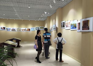 芦淞区文化园社区 光影传情，艺术连心——组织辖区居民参观摄影展暨文化艺术交流活动侧记